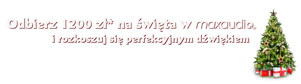 Gwiazdkowe szaleństwo w Maxaudio!